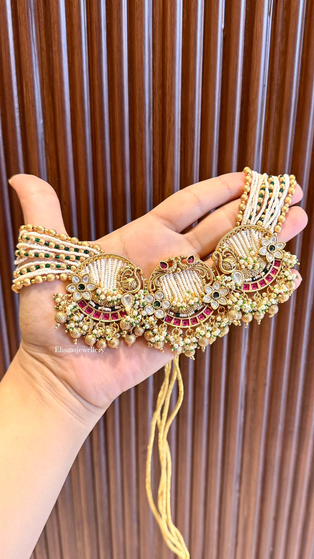 Rajwaadi Choker with Earrings