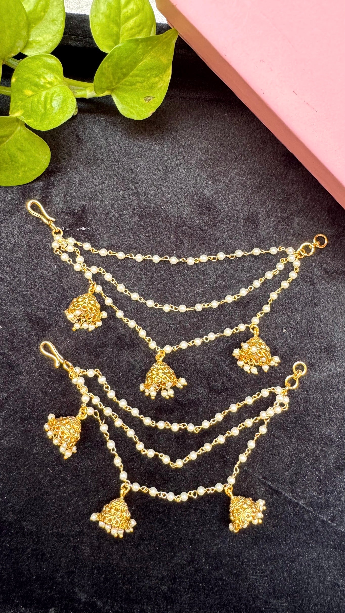 Vaidehi Earchain