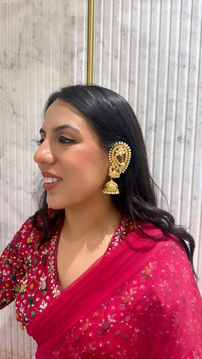 Nandini Kaanphool