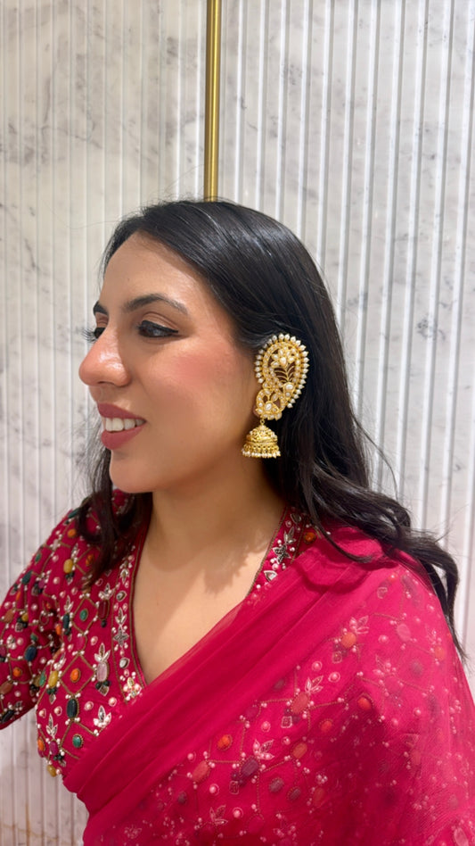 Nandini Kaanphool