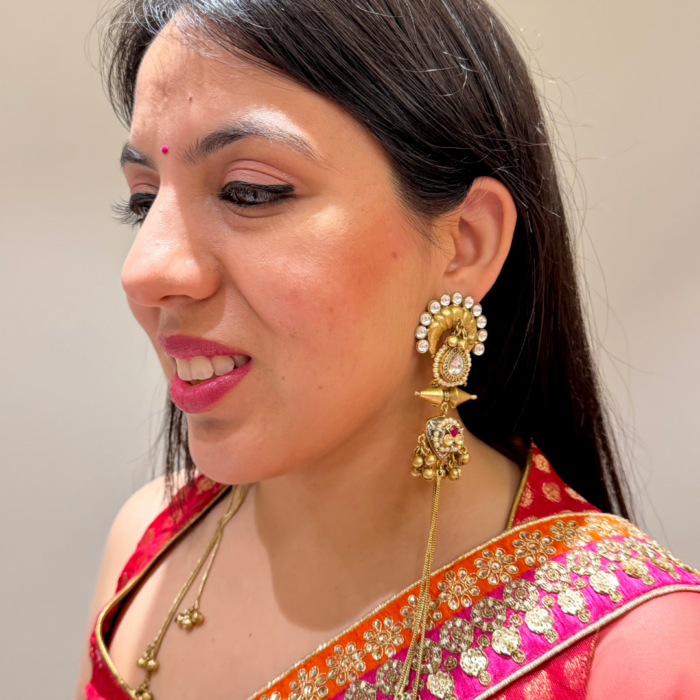 Kashmir Earrings 2.0
